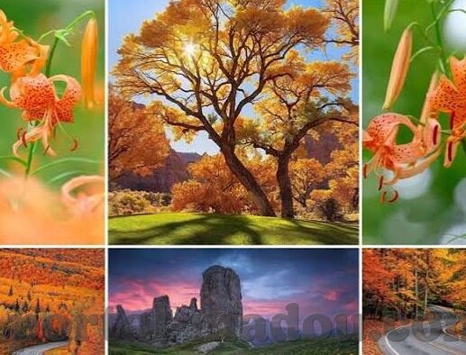 91麻豆网站入口-不良内容材料的消极影响与健康网络习惯的养成