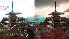 成人在线视频4438x-成人在线视频的利弊与理性审视