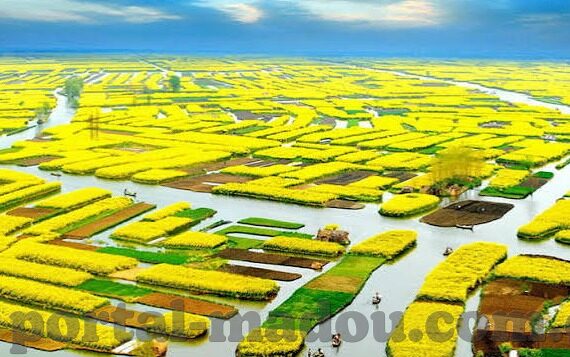 大象互娱传媒有限公司-大象互娱传媒，创新与融合的娱乐新势力