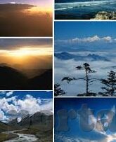 邻居人妻的肉欲满足-邻居人妻的微妙平衡，肉欲与道德的交织