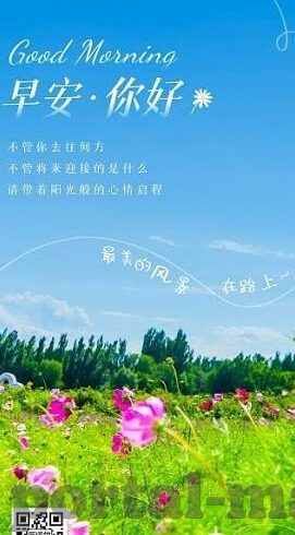 伦理片八戒影视大全-伦理片八戒影视大全，探索网络伦理的灰色地带