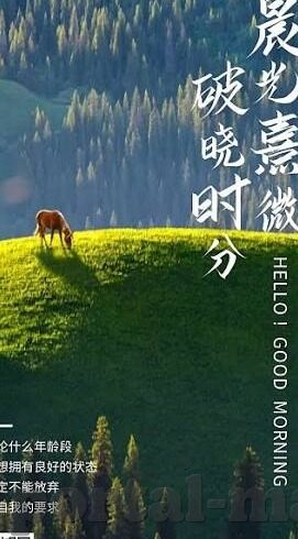 麻豆传媒毛片-法律与伦理的边界，麻豆传媒毛片的风波与理解