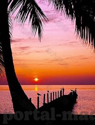 麻豆传媒综合-探寻麻豆传媒综合的多元跨界之路