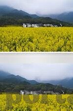 欧美一区二区三区啪啪-欧美一区二区三区，网络世界的文化与道德边界