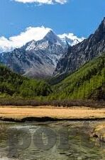 糖心柯德动漫app-糖心柯德动漫APP，风雨彩虹下的二次元之旅