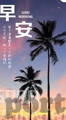 糖心vlog有毒吗-探寻真相，糖心Vlog的魅力与疑似争议