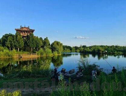 袁子仪果冻传媒-袁子仪与果冻传媒，跨界合作的创新与挑战